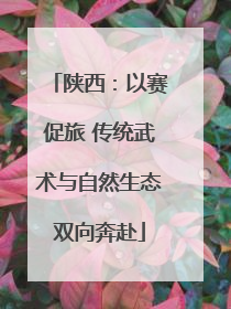 陕西：以赛促旅 传统武术与自然生态双向奔赴