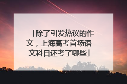 除了引发热议的作文，上海高考首场语文科目还考了哪些