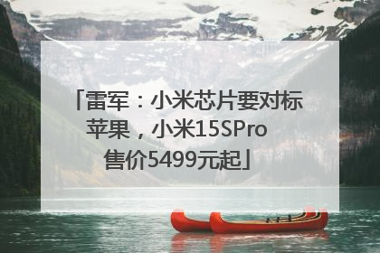 雷军：小米芯片要对标苹果，小米15SPro售价5499元起