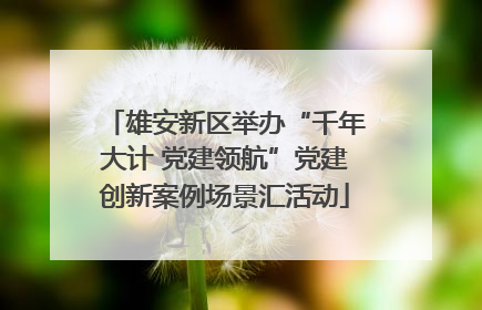 雄安新区举办“千年大计 党建领航”党建创新案例场景汇活动