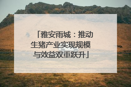 雅安雨城：推动生猪产业实现规模与效益双重跃升
