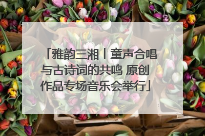 雅韵三湘丨童声合唱与古诗词的共鸣 原创作品专场音乐会举行