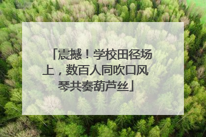 震撼！学校田径场上，数百人同吹口风琴共奏葫芦丝