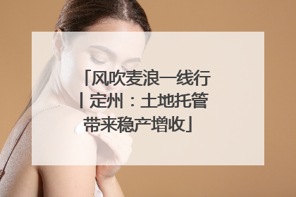 风吹麦浪一线行丨定州：土地托管带来稳产增收