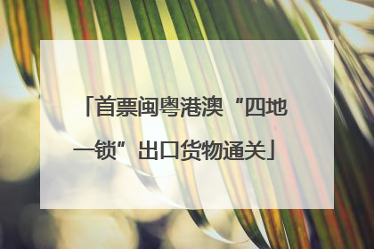 首票闽粤港澳“四地一锁”出口货物通关