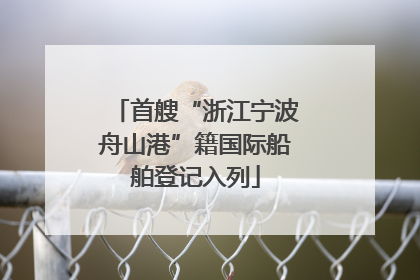 首艘“浙江宁波舟山港”籍国际船舶登记入列