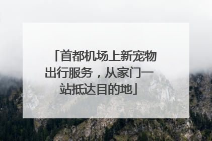 首都机场上新宠物出行服务，从家门一站抵达目的地