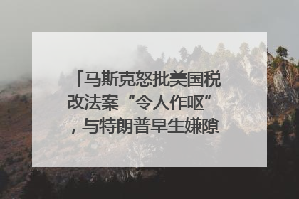 马斯克怒批美国税改法案“令人作呕”，与特朗普早生嫌隙？｜国际识局