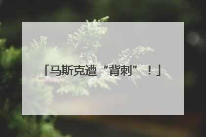 马斯克遭“背刺”！