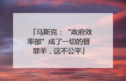 马斯克：“政府效率部”成了一切的替罪羊，这不公平