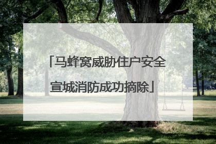 马蜂窝威胁住户安全 宣城消防成功摘除