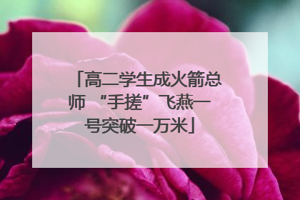 高二学生成火箭总师 “手搓”飞燕一号突破一万米