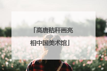 高唐秸秆画亮相中国美术馆