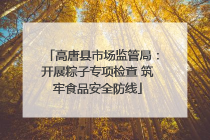 高唐县市场监管局：开展粽子专项检查 筑牢食品安全防线