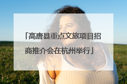 高唐县重点文旅项目招商推介会在杭州举行