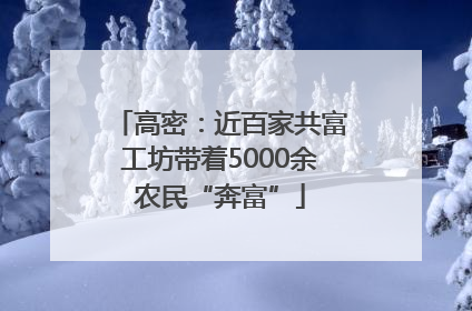高密：近百家共富工坊带着5000余农民“奔富”