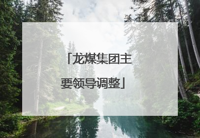 龙煤集团主要领导调整