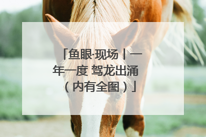 鱼眼·现场丨一年一度 驾龙出涌（内有全图）