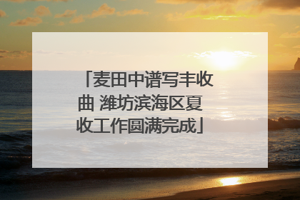 麦田中谱写丰收曲 潍坊滨海区夏收工作圆满完成