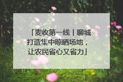 麦收第一线丨聊城打造集中晾晒场地，让农民省心又省力