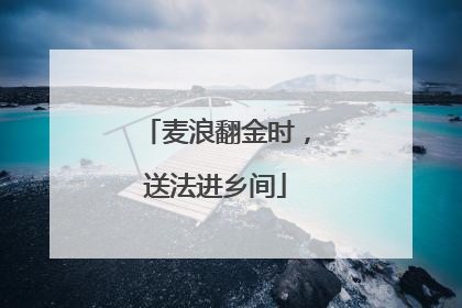 麦浪翻金时，送法进乡间