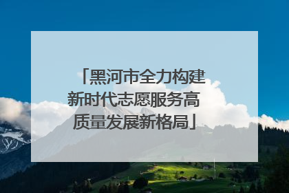 黑河市全力构建新时代志愿服务高质量发展新格局