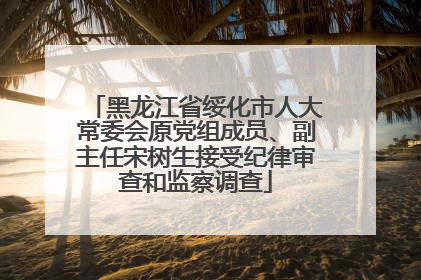 黑龙江省绥化市人大常委会原党组成员、副主任宋树生接受纪律审查和监察调查