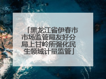 黑龙江省伊春市市场监管局友好分局上甘岭所强化民生领域计量监管