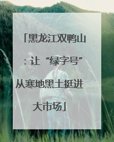黑龙江双鸭山：让“绿字号”从寒地黑土挺进大市场