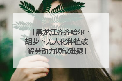 黑龙江齐齐哈尔：胡萝卜无人化种植破解劳动力短缺难题