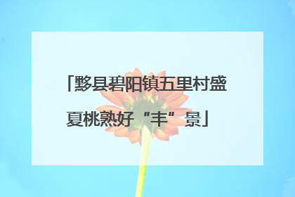 黟县碧阳镇五里村盛夏桃熟好“丰”景
