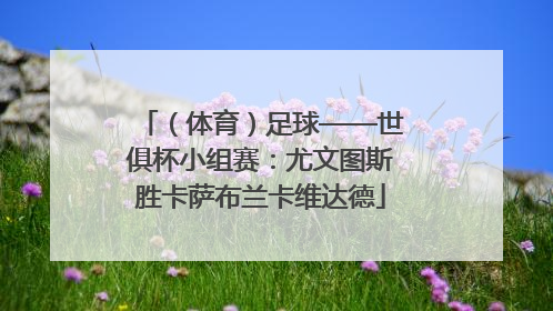 （体育）足球——世俱杯小组赛：尤文图斯胜卡萨布兰卡维达德