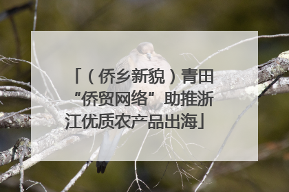 （侨乡新貌）青田“侨贸网络”助推浙江优质农产品出海