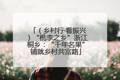 （乡村行·看振兴）“槜李之乡”浙江桐乡：“千年名果”铺就乡村共富路