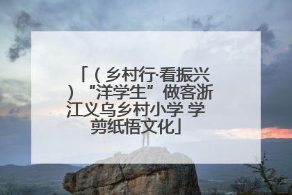 （乡村行·看振兴）“洋学生”做客浙江义乌乡村小学 学剪纸悟文化