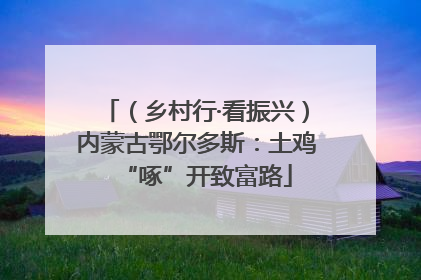 （乡村行·看振兴）内蒙古鄂尔多斯：土鸡“啄”开致富路
