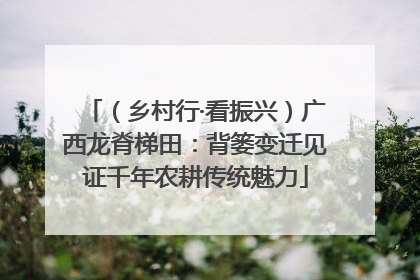 （乡村行·看振兴）广西龙脊梯田：背篓变迁见证千年农耕传统魅力