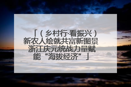 （乡村行·看振兴）新农人绘就共富新图景 浙江庆元统战力量赋能“海拔经济”