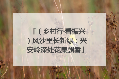（乡村行·看振兴）风沙里长新绿：兴安岭深处花果飘香