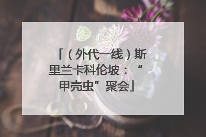 （外代一线）斯里兰卡科伦坡：“甲壳虫”聚会