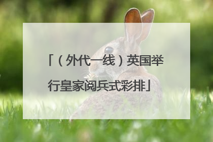 （外代一线）英国举行皇家阅兵式彩排