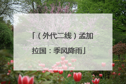 （外代二线）孟加拉国：季风降雨