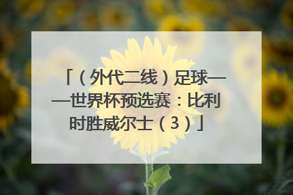 （外代二线）足球——世界杯预选赛：比利时胜威尔士（3）