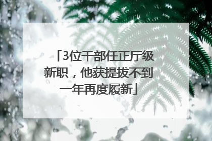 3位干部任正厅级新职，他获提拔不到一年再度履新