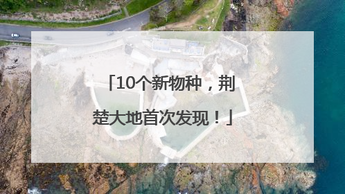 10个新物种，荆楚大地首次发现！
