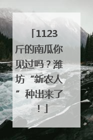1123斤的南瓜你见过吗？潍坊“新农人”种出来了！