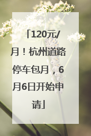 120元/月！杭州道路停车包月，6月6日开始申请