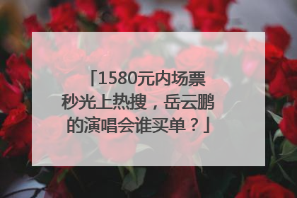 1580元内场票秒光上热搜，岳云鹏的演唱会谁买单？