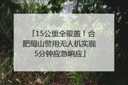 15公里全覆盖！合肥蜀山警用无人机实现5分钟应急响应
