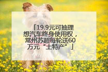 19.9元可抽理想汽车终身使用权，常州苏超每轮送60万元“土特产”